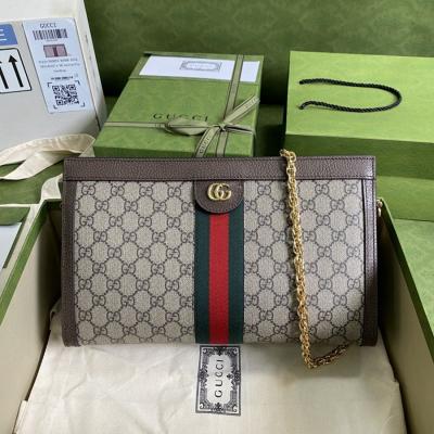 503876 Ophidia 鍊條包 大號