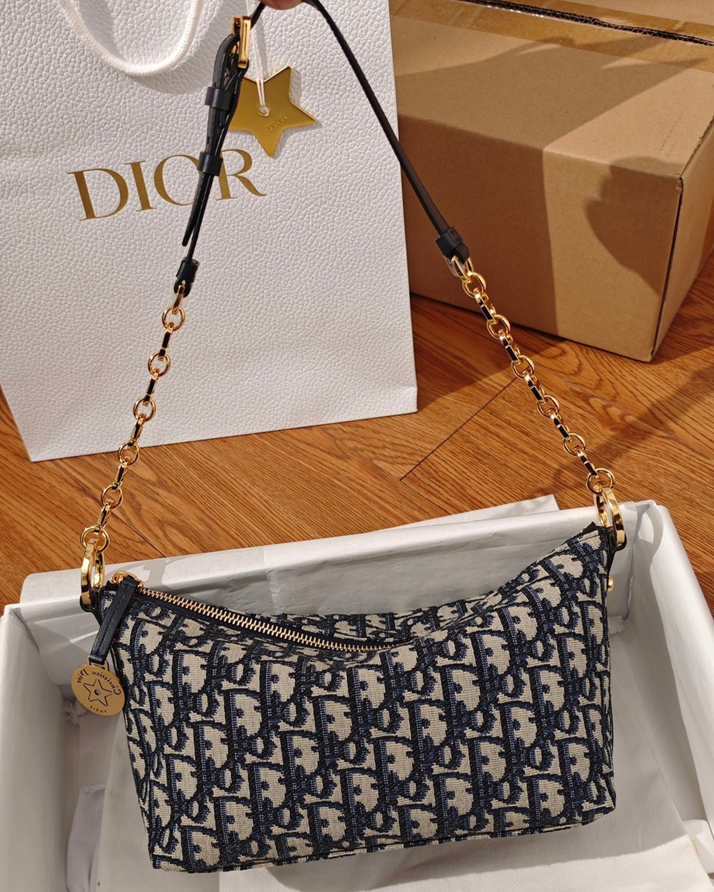 Diorstar Hobo鏈條飯盒包