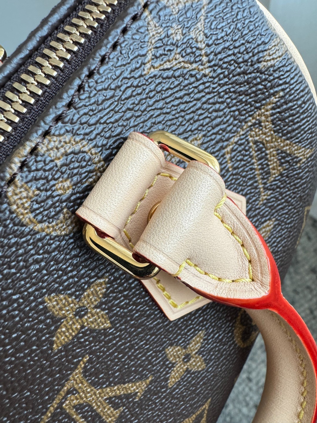 Speedy Bandouliere 20 手袋 M46221_14