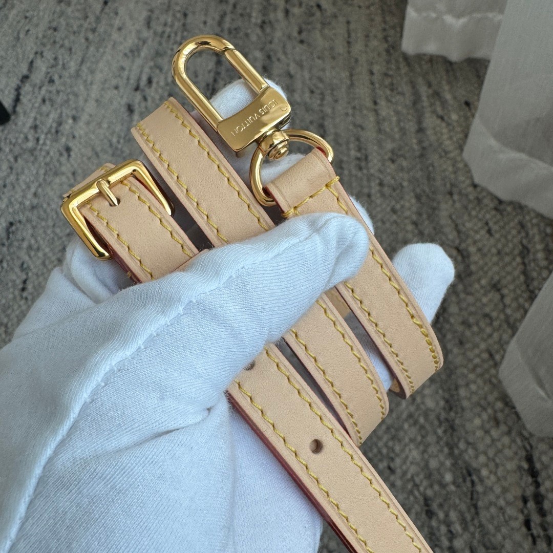 Speedy Bandouliere 20 手袋 M46221_16