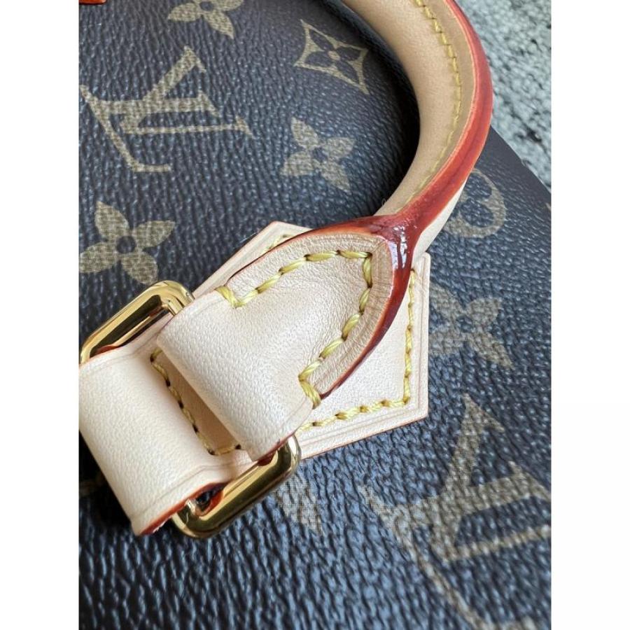 Speedy BandouliEre 20 手袋 M46594_14