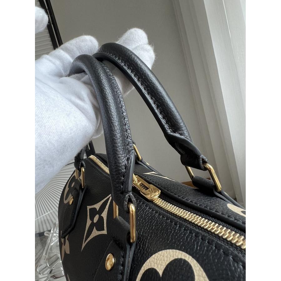 Speedy Bandouliere 25 手袋 M58947_15