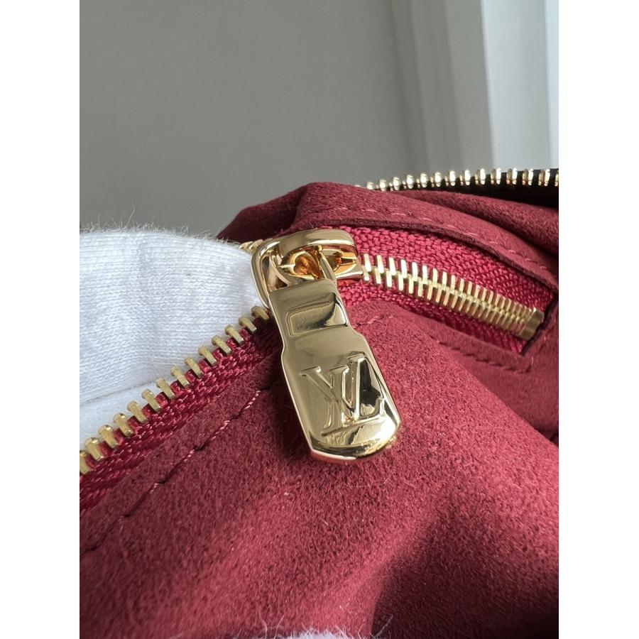 Speedy Bandouliere 25 手袋 M58947_20