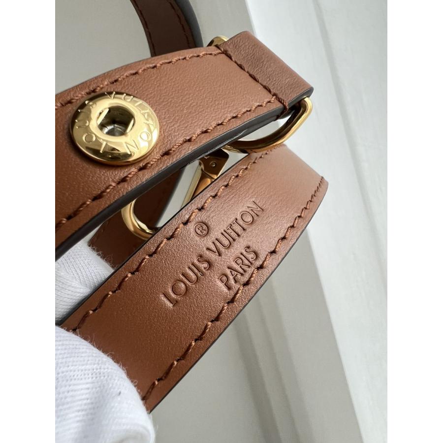 Dauphine Lock XL 迷你手袋 M46537_20