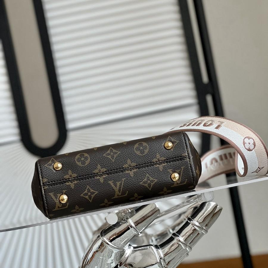 CLUNY 迷你手袋 M46055_3