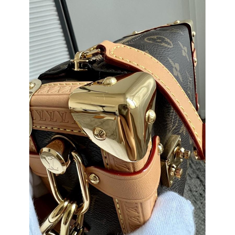 Side Trunk PM手袋 M46815_12