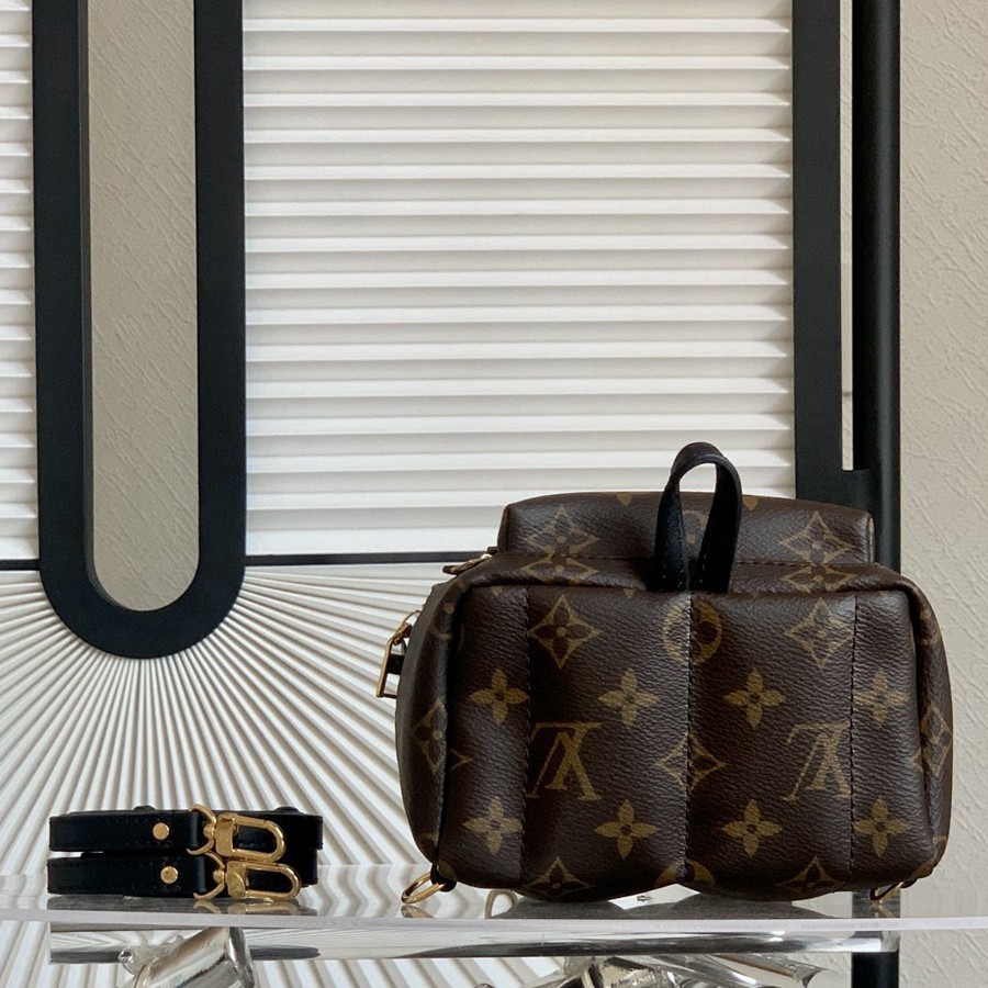 Palm Springs 迷你雙肩包M44873_3