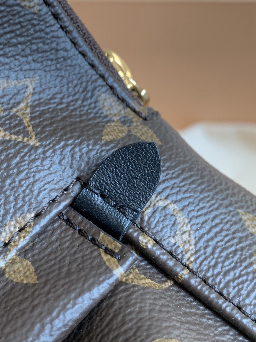 Palm Springs 迷你雙肩包M44873_12