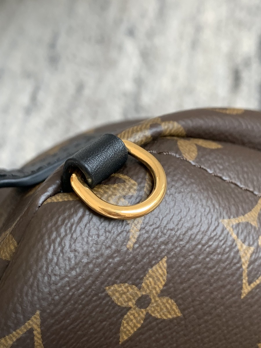 Palm Springs 迷你雙肩包M44873_17