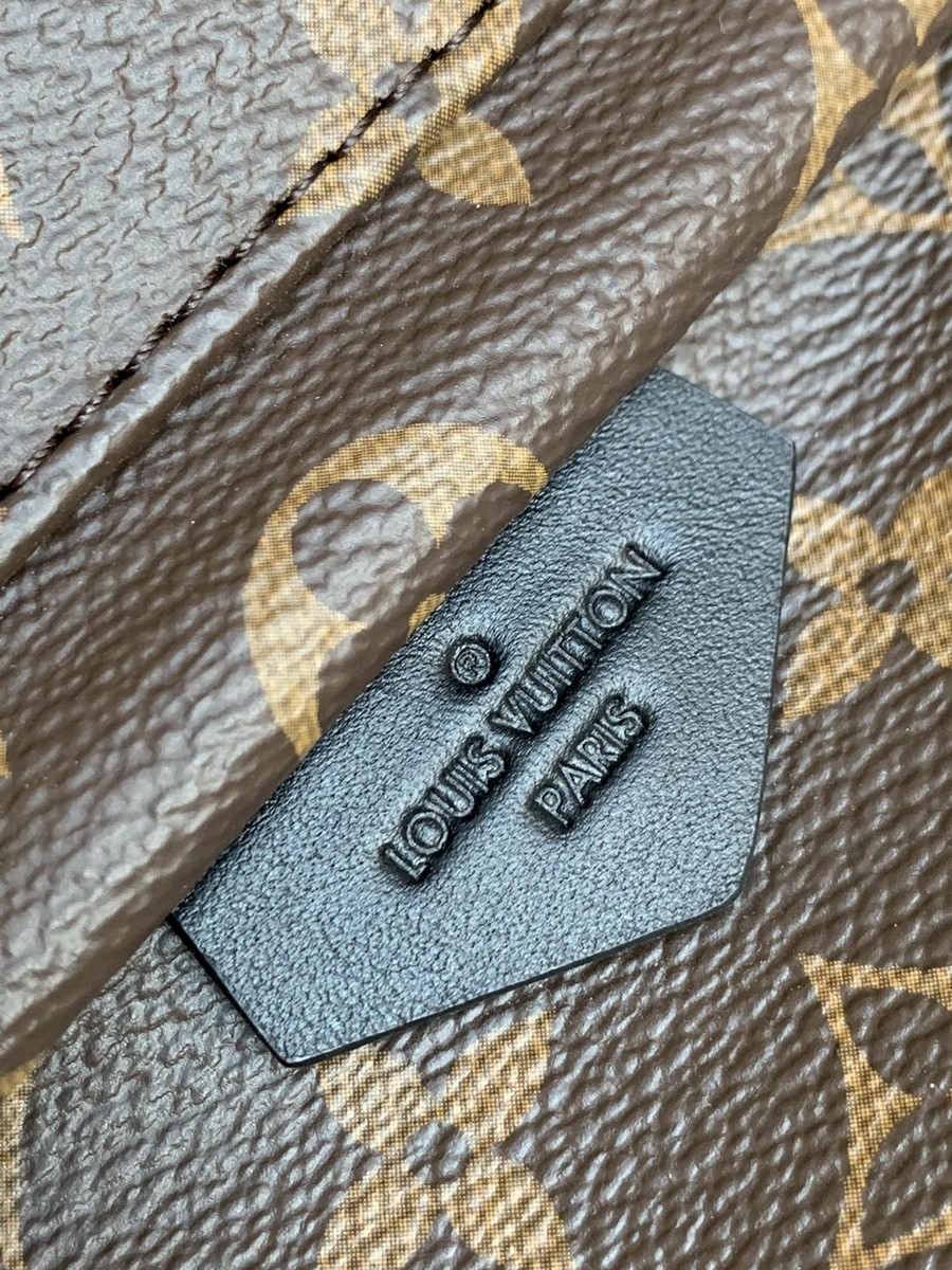 Palm Springs 小號雙肩包M44871_6