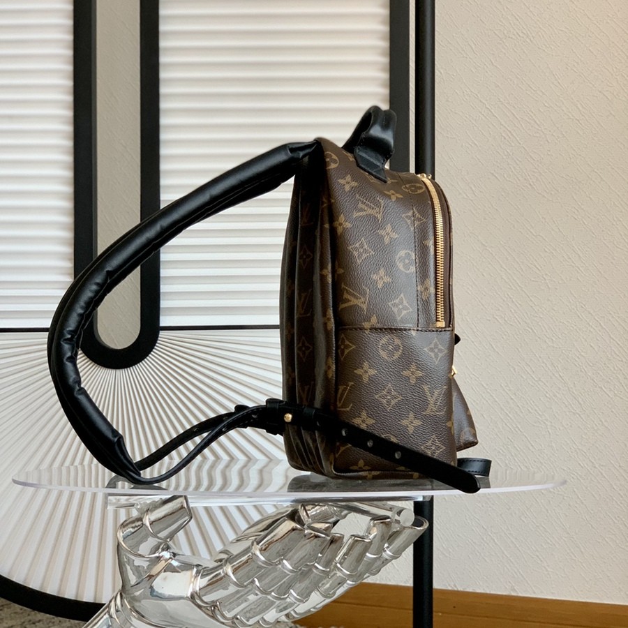 Palm Springs 小號雙肩包M44871_4