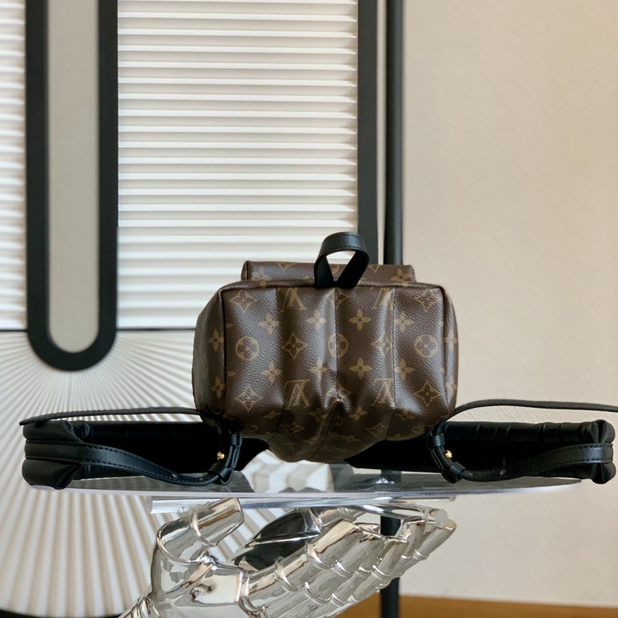 Palm Springs 小號雙肩包M44871_3