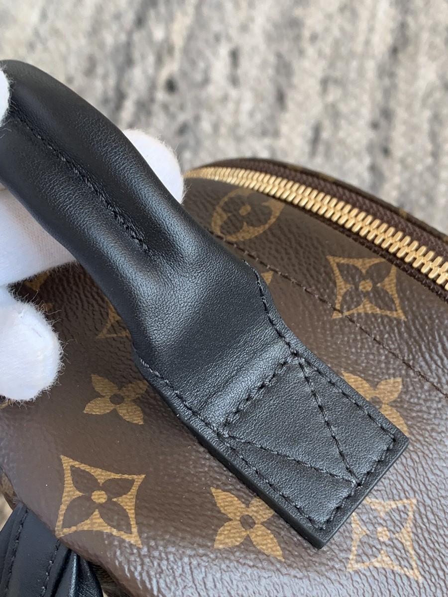 Palm Springs 小號雙肩包M44871_11