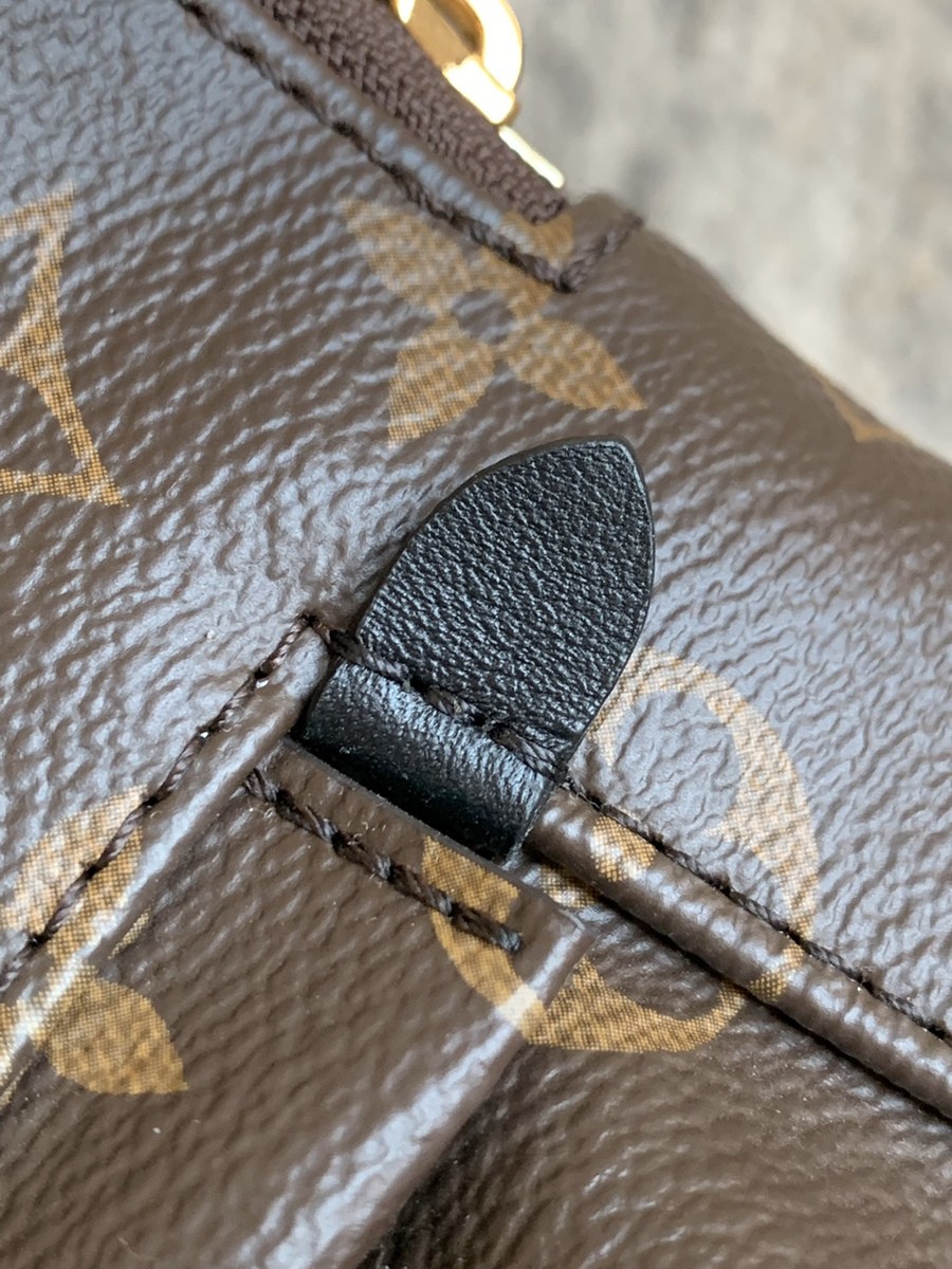 Palm Springs 小號雙肩包M44871_13