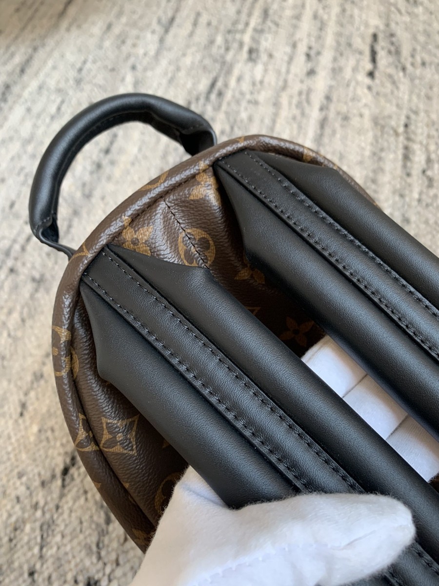 Palm Springs 小號雙肩包M44871_16