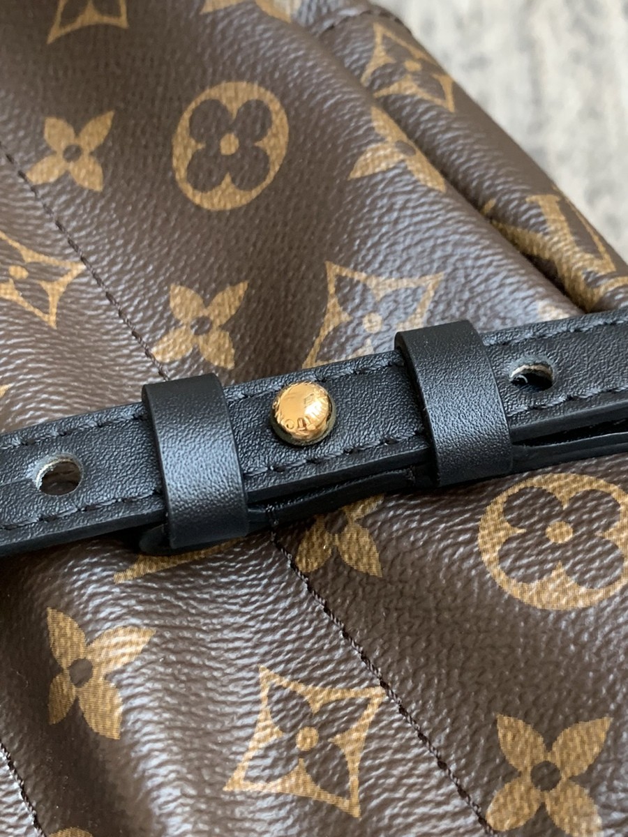 Palm Springs 小號雙肩包M44871_18