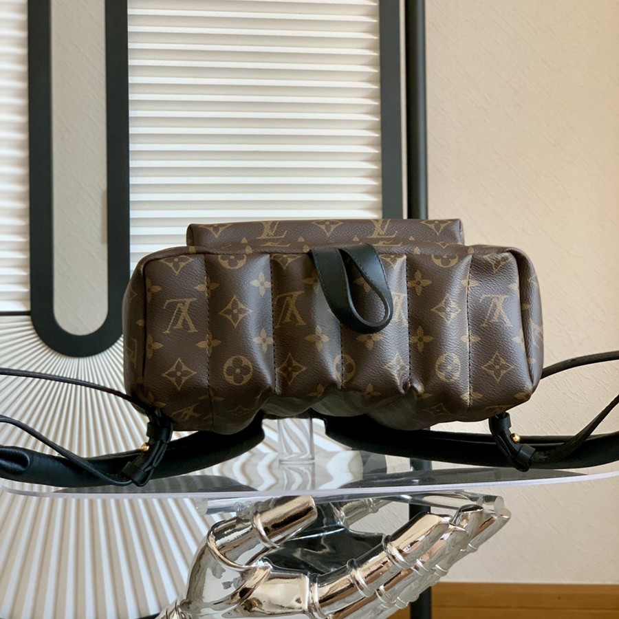 Palm Springs 中號雙肩包M44874_3