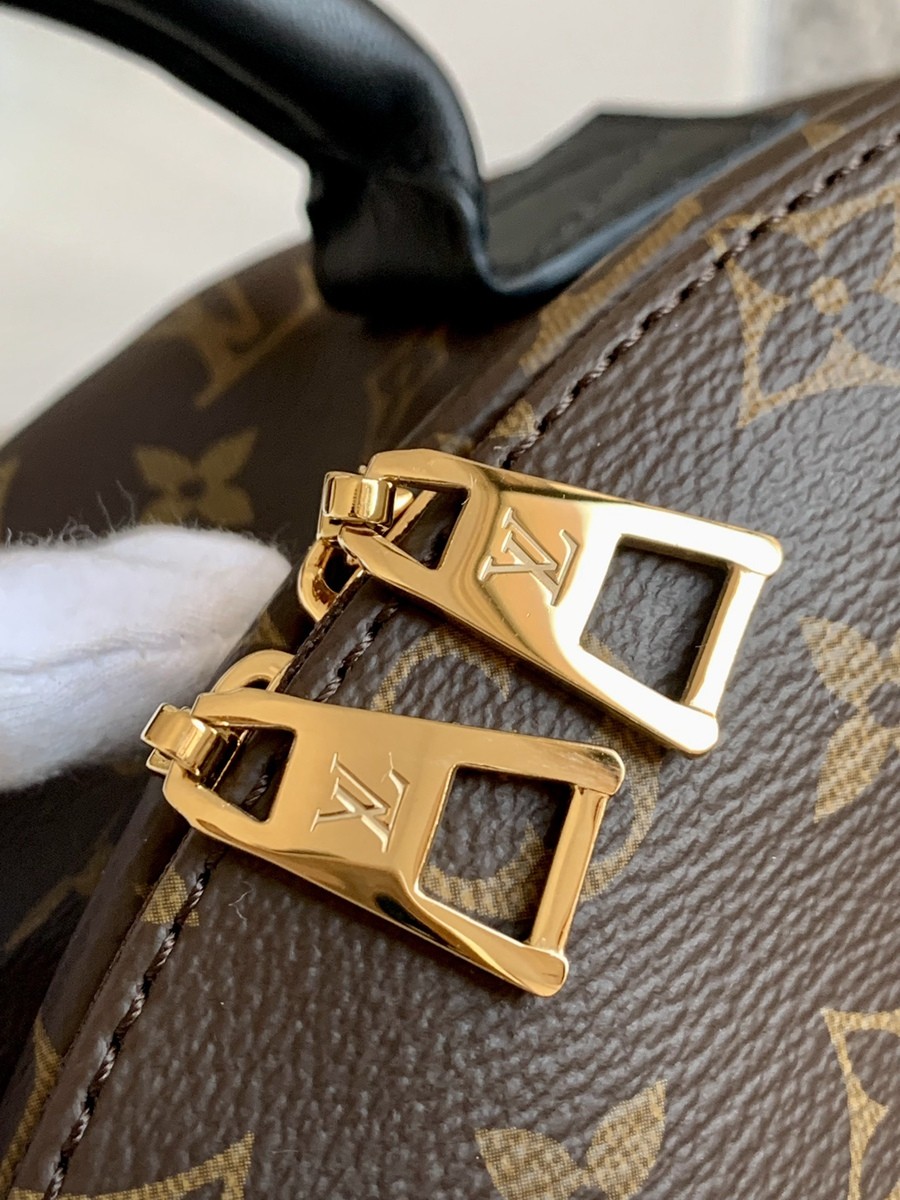 Palm Springs 中號雙肩包M44874_9