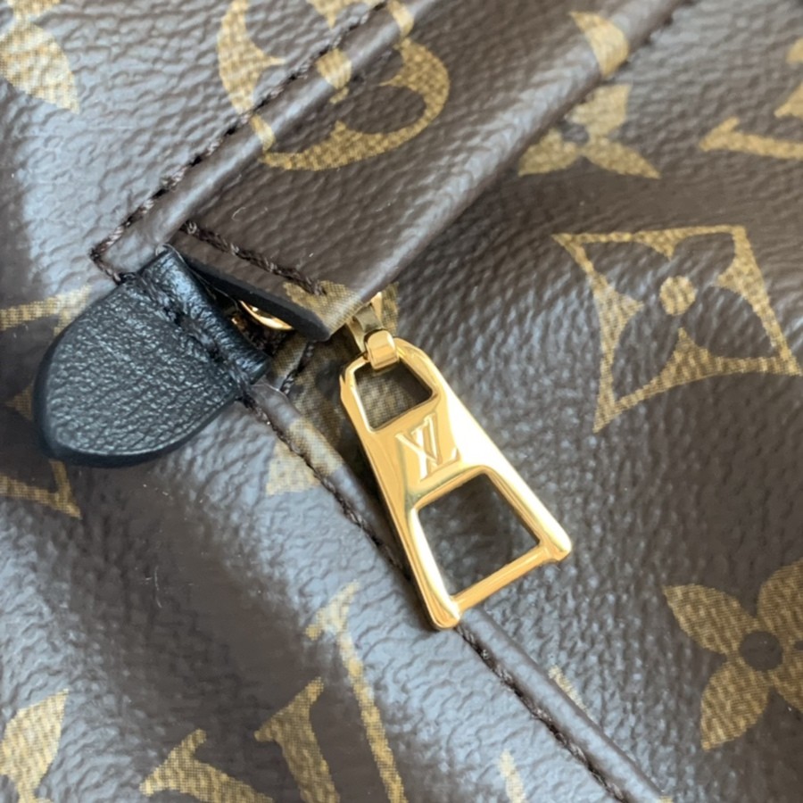 Palm Springs 中號雙肩包M44874_10