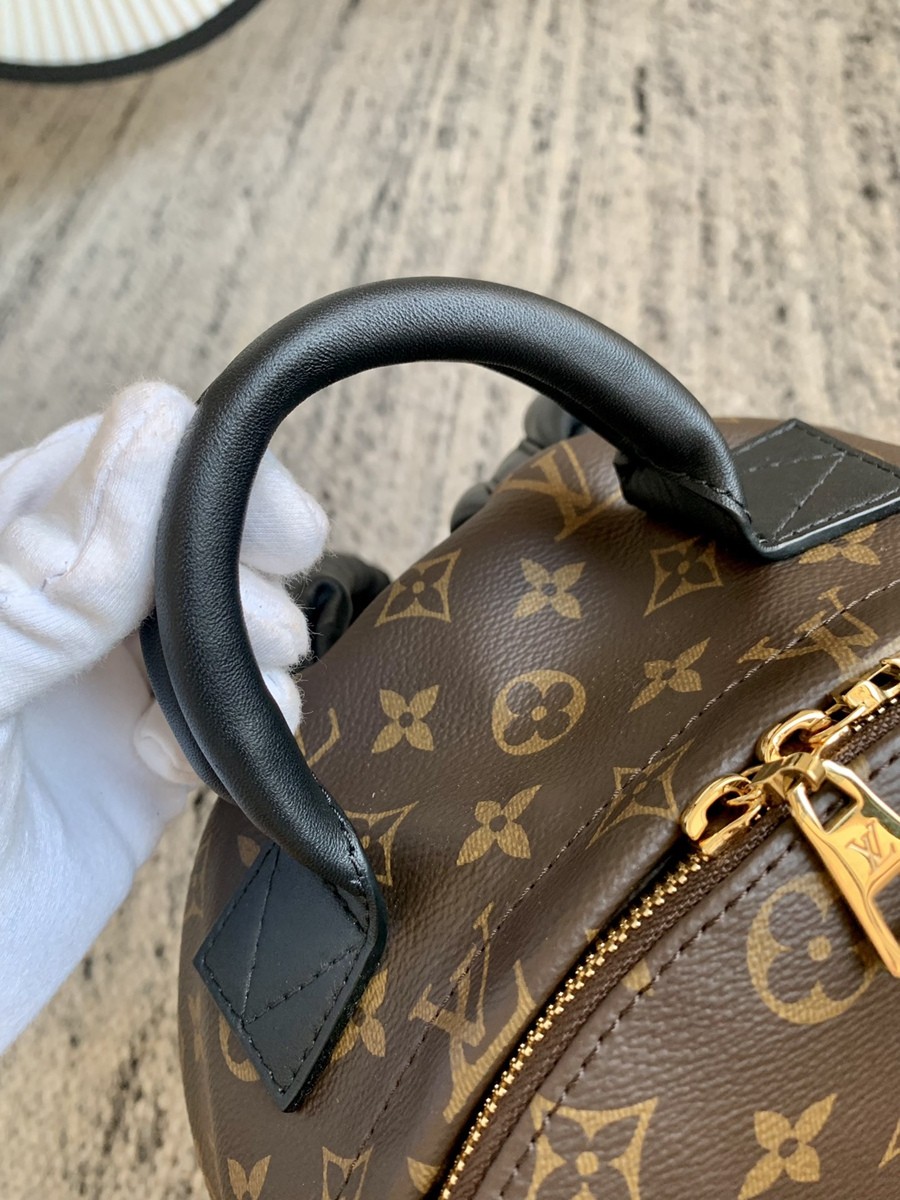 Palm Springs 中號雙肩包M44874_11