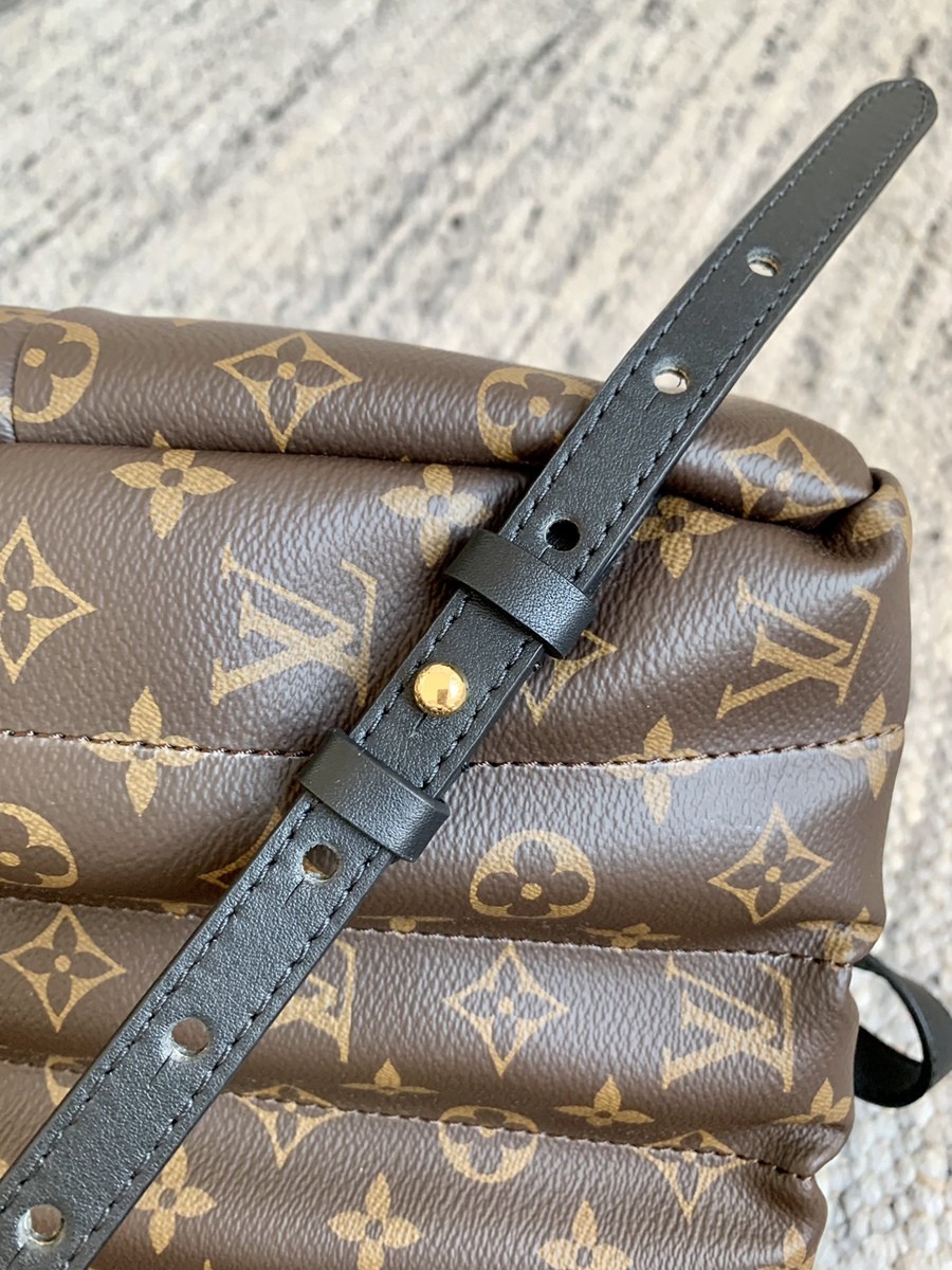 Palm Springs 中號雙肩包M44874_15