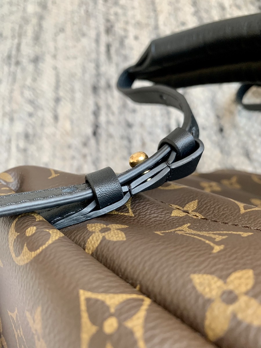 Palm Springs 中號雙肩包M44874_16