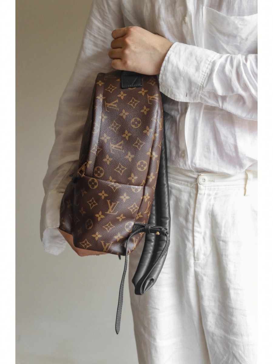 Palm Springs 中號雙肩包M44874_17