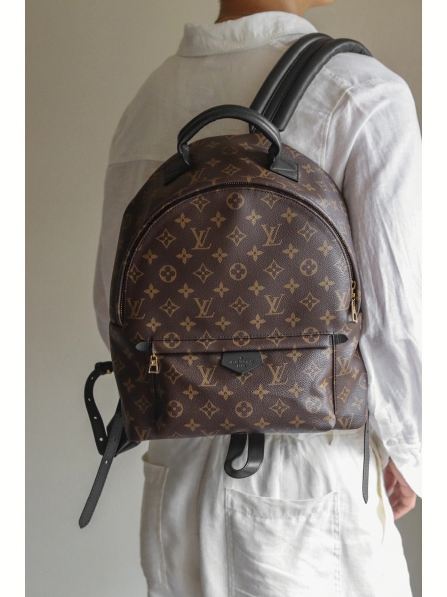 Palm Springs 中號雙肩包M44874_18