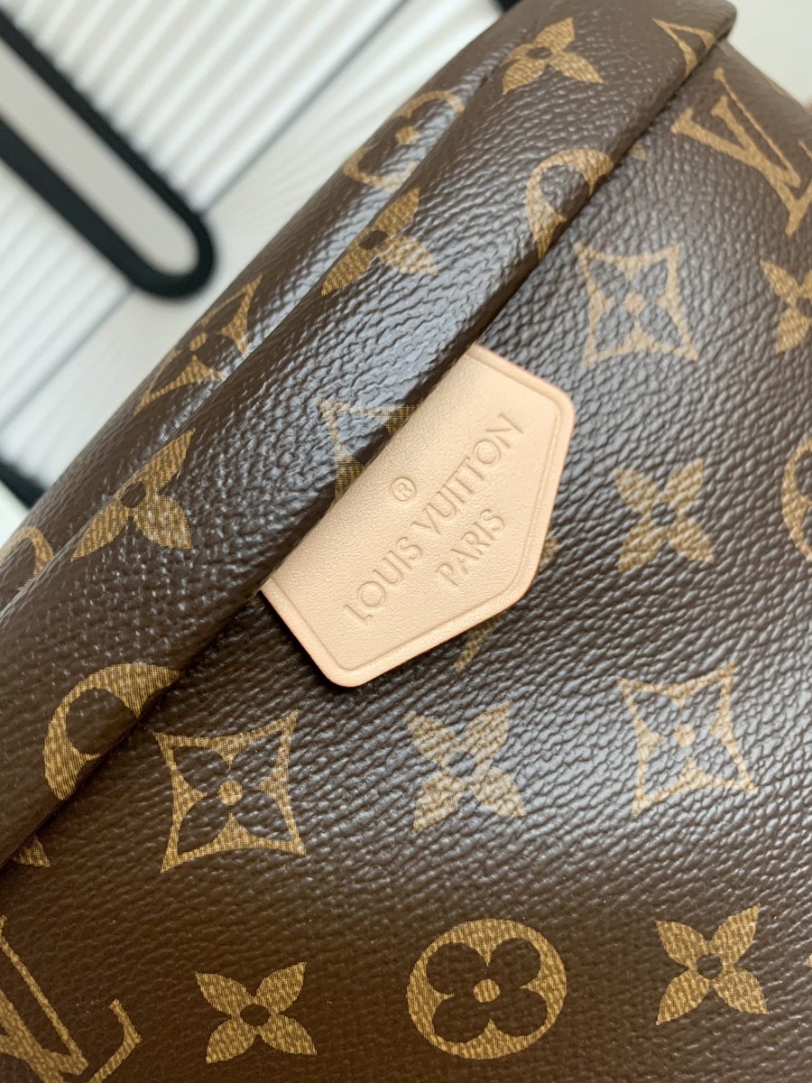 Bumbag 老花腰包 M43644_7