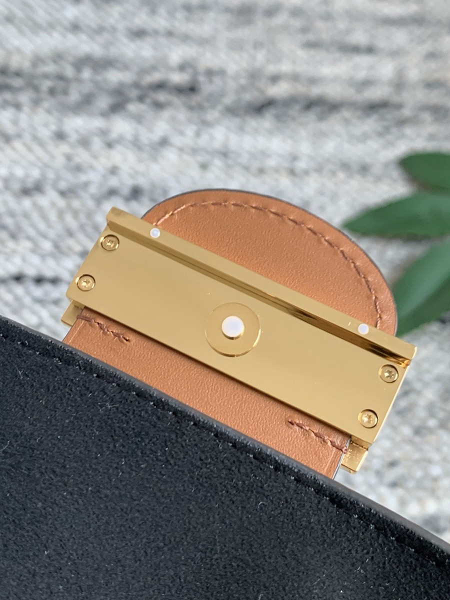 Dauphine 鏈條包M68746_9