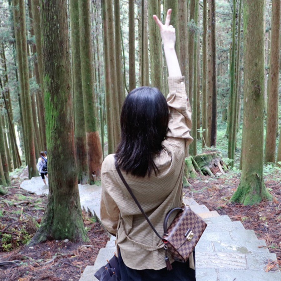 CROISETTE DAMIER啡格郵差包N53000_27