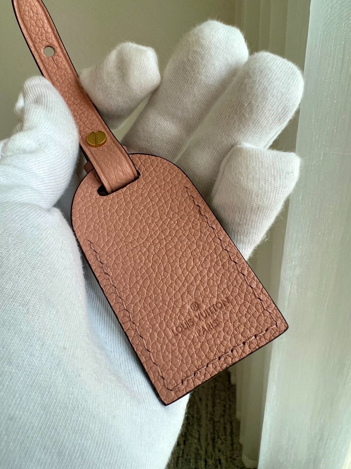 Carryall 小號手袋 M46298_5