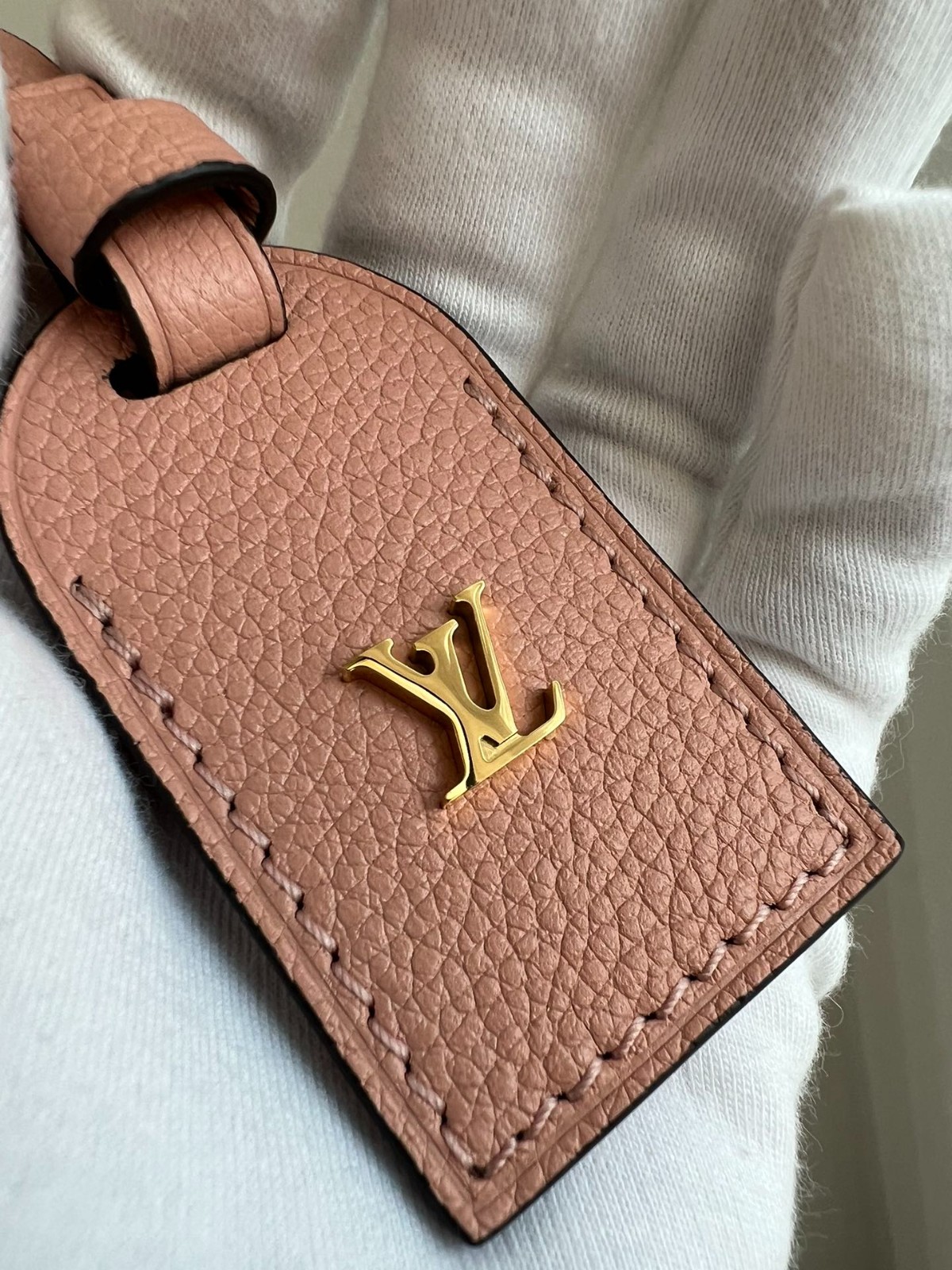 Carryall 小號手袋 M46298_4