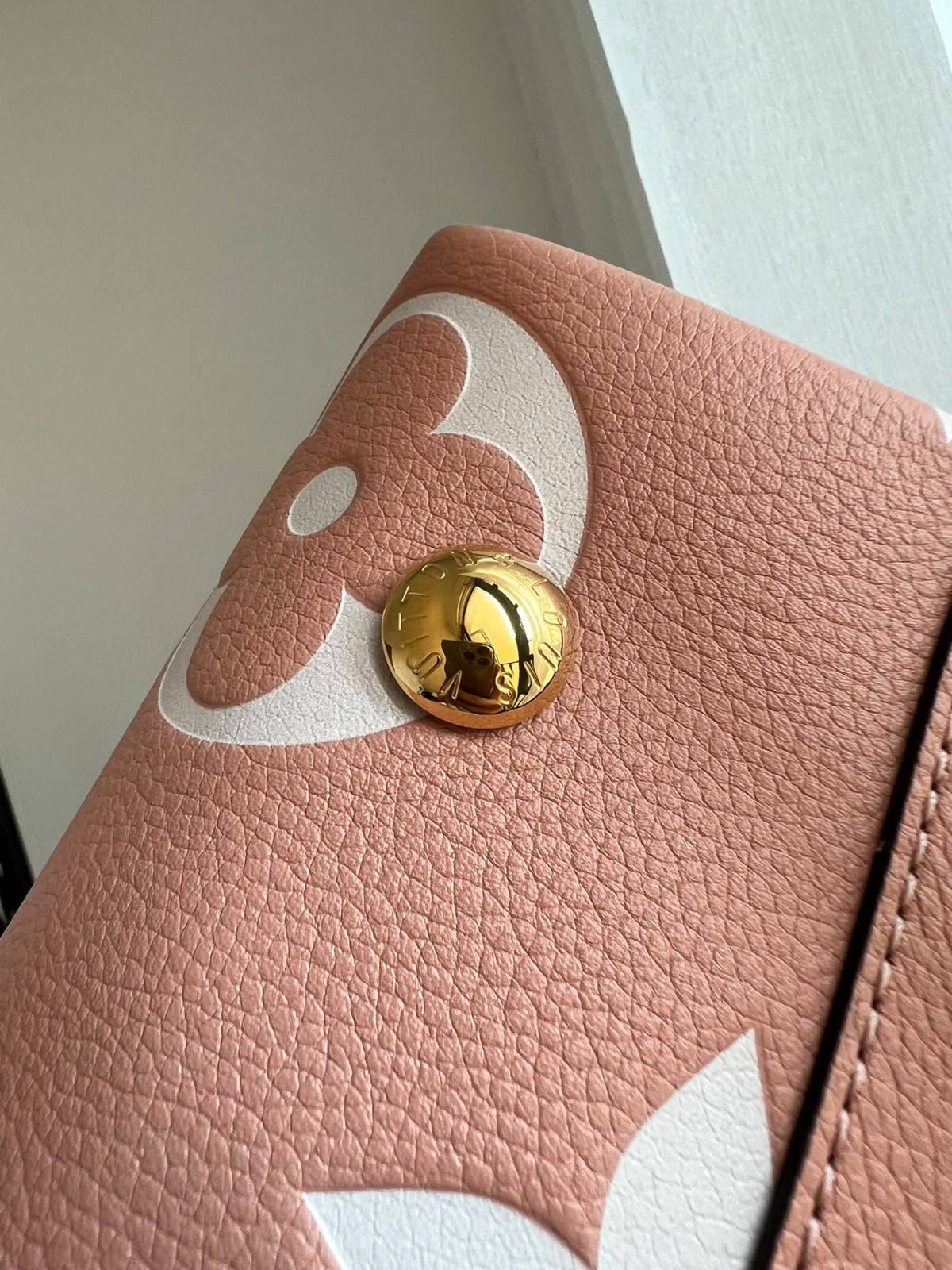 Carryall 小號手袋 M46298_8