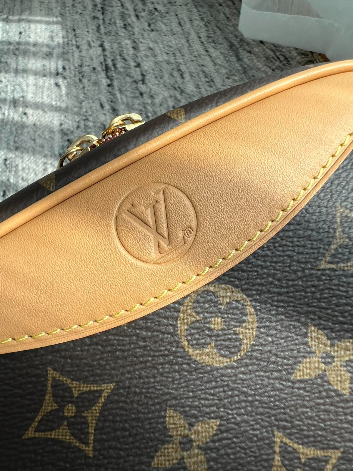 DEAUVILLE 迷你手袋 M45528_9