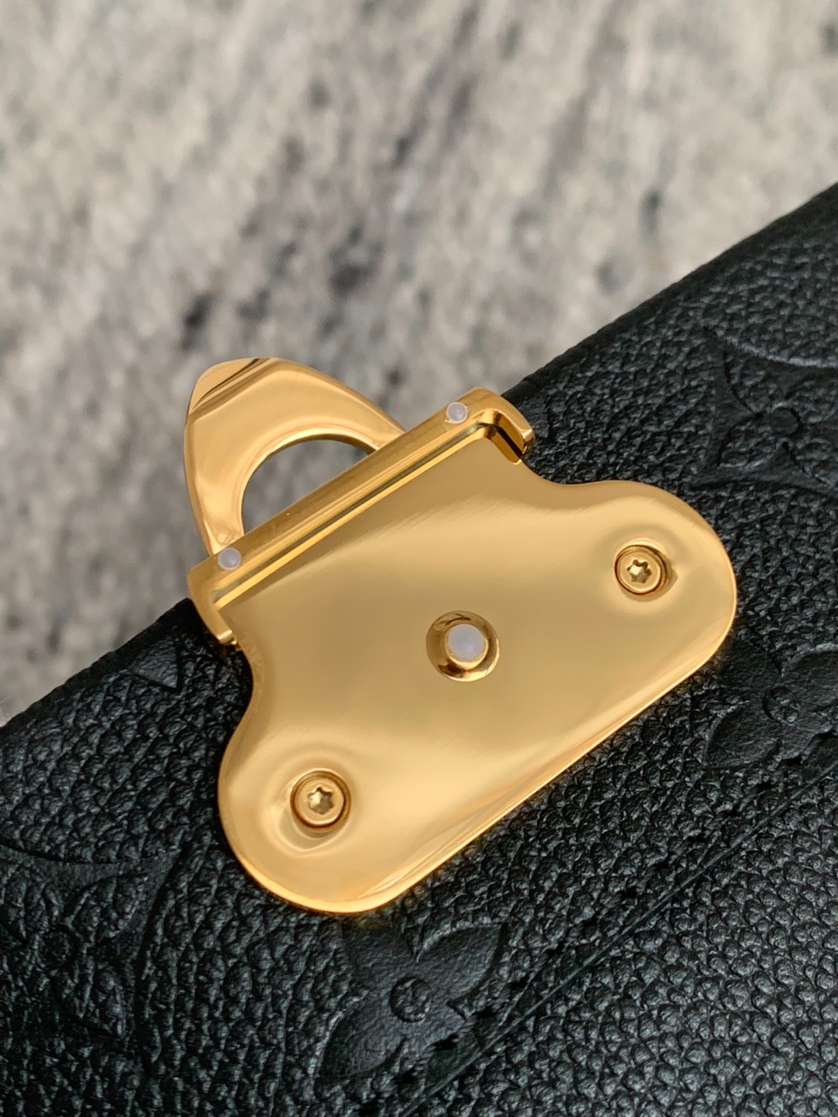 VAVIN 小號手袋M44151_13