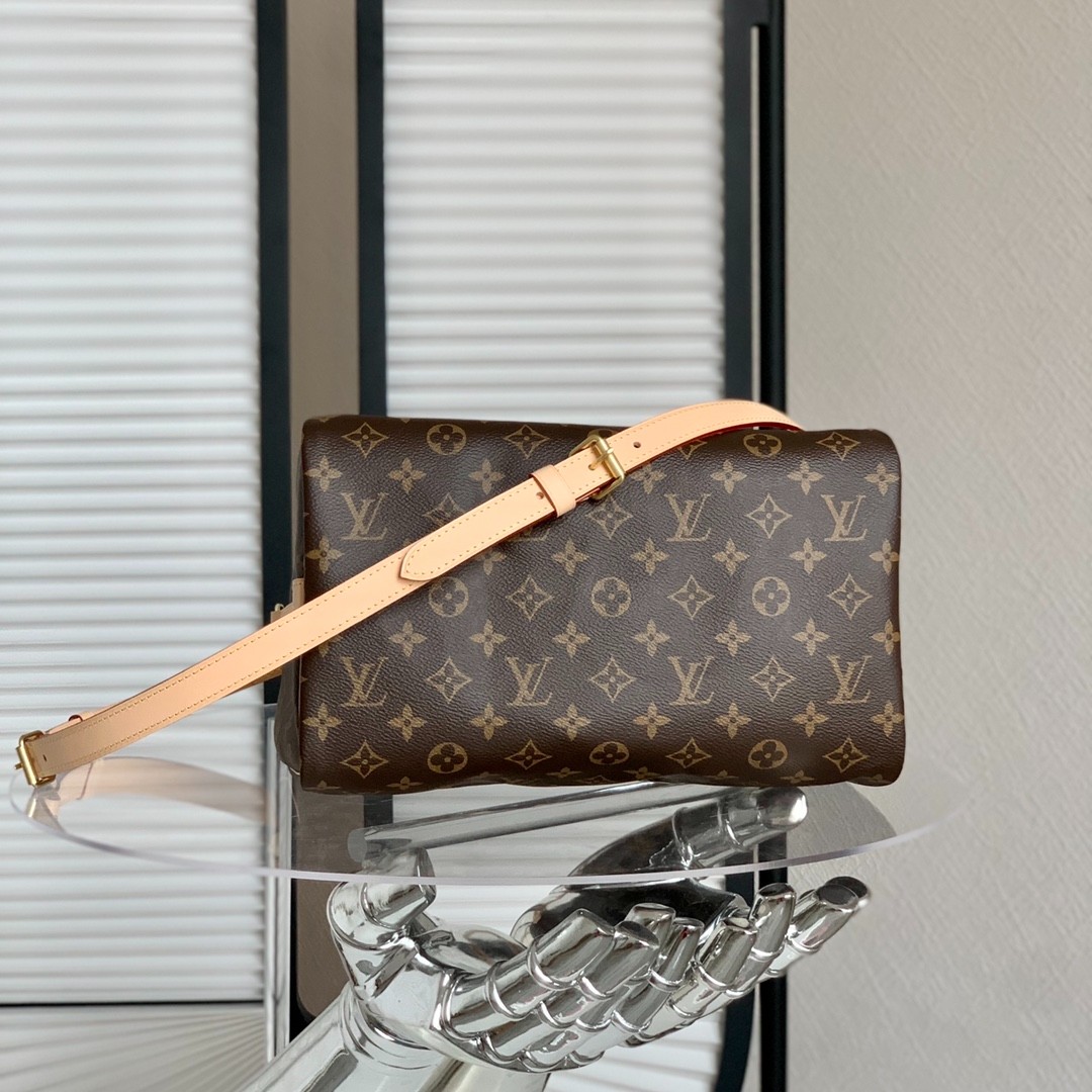 Speedy 30手袋M41112_3