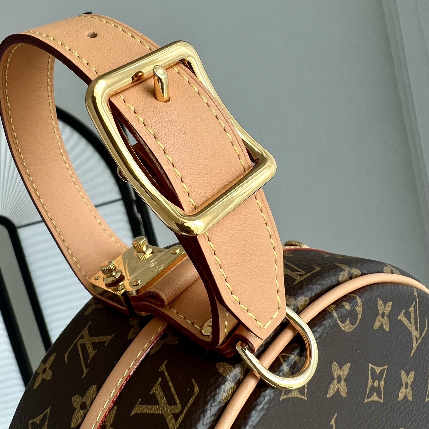 PETITE BOITE Chapeau手袋 M43514_6