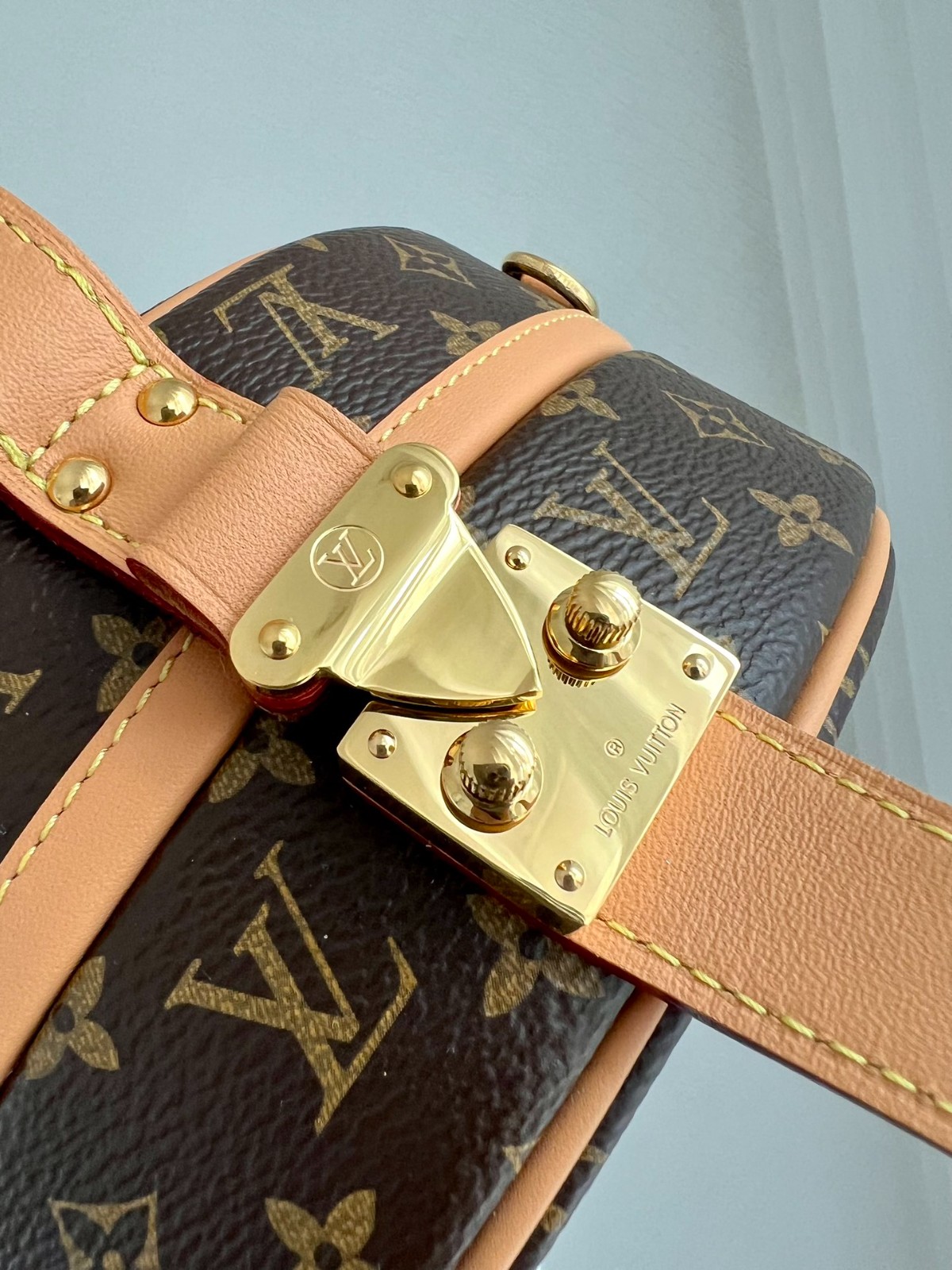 PETITE BOITE Chapeau手袋 M43514_11