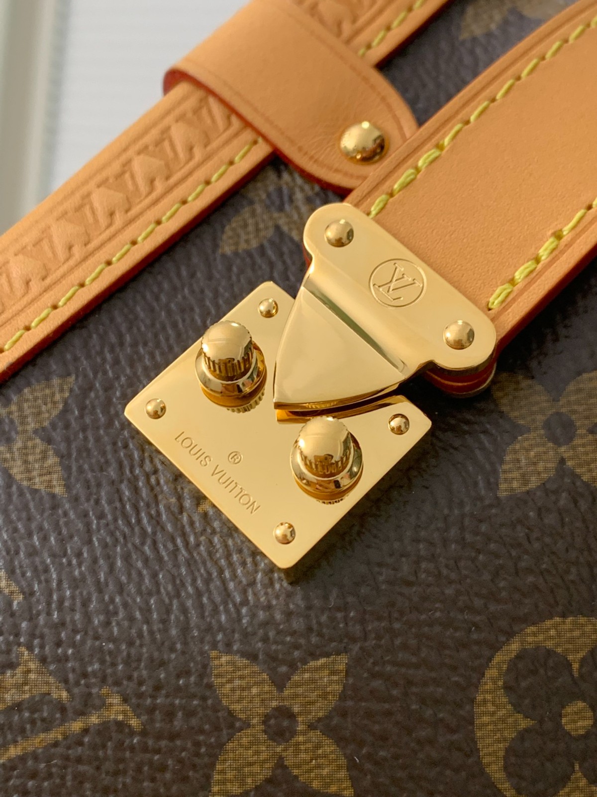 Side Trunk 中號手袋M46358_6