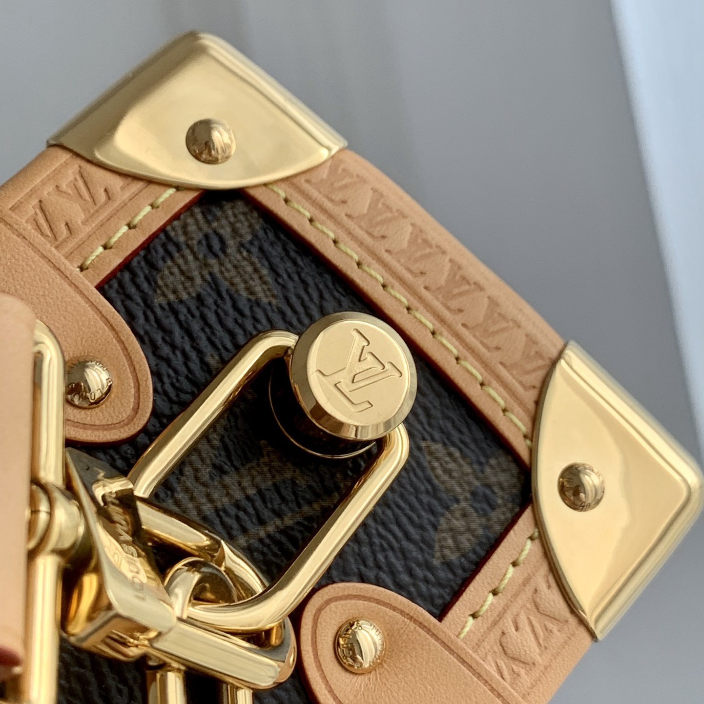 Side Trunk 中號手袋M46358_7