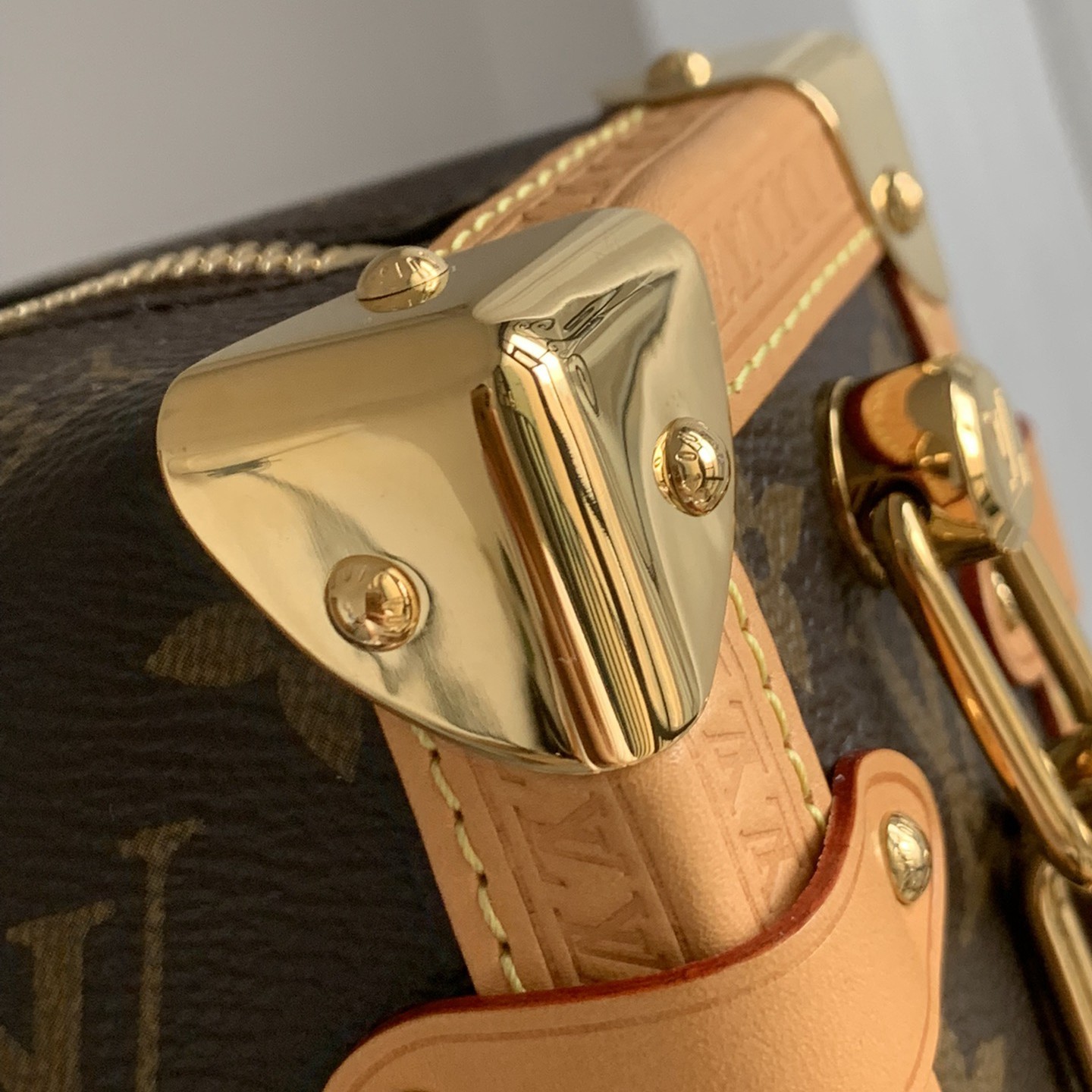 Side Trunk 中號手袋M46358_16