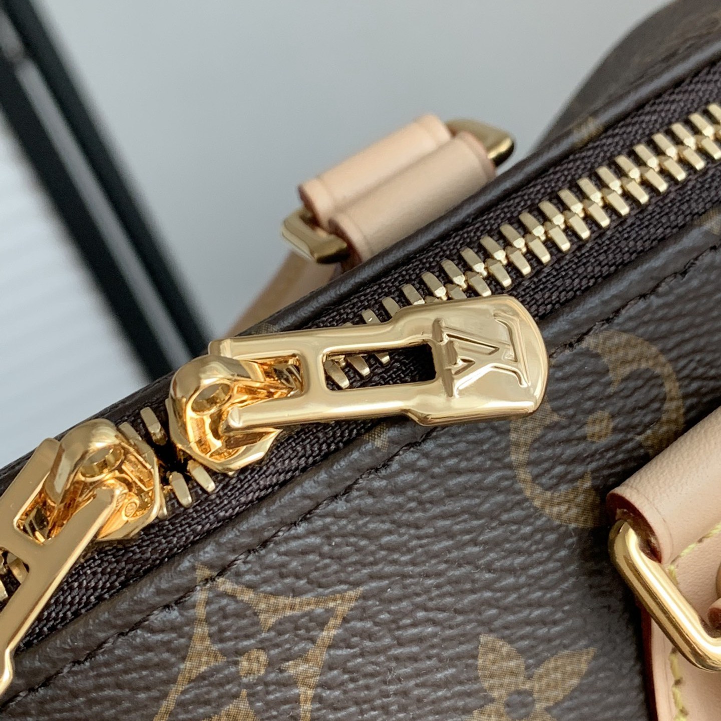 Speedy BandouliEre 20手袋M46234_6