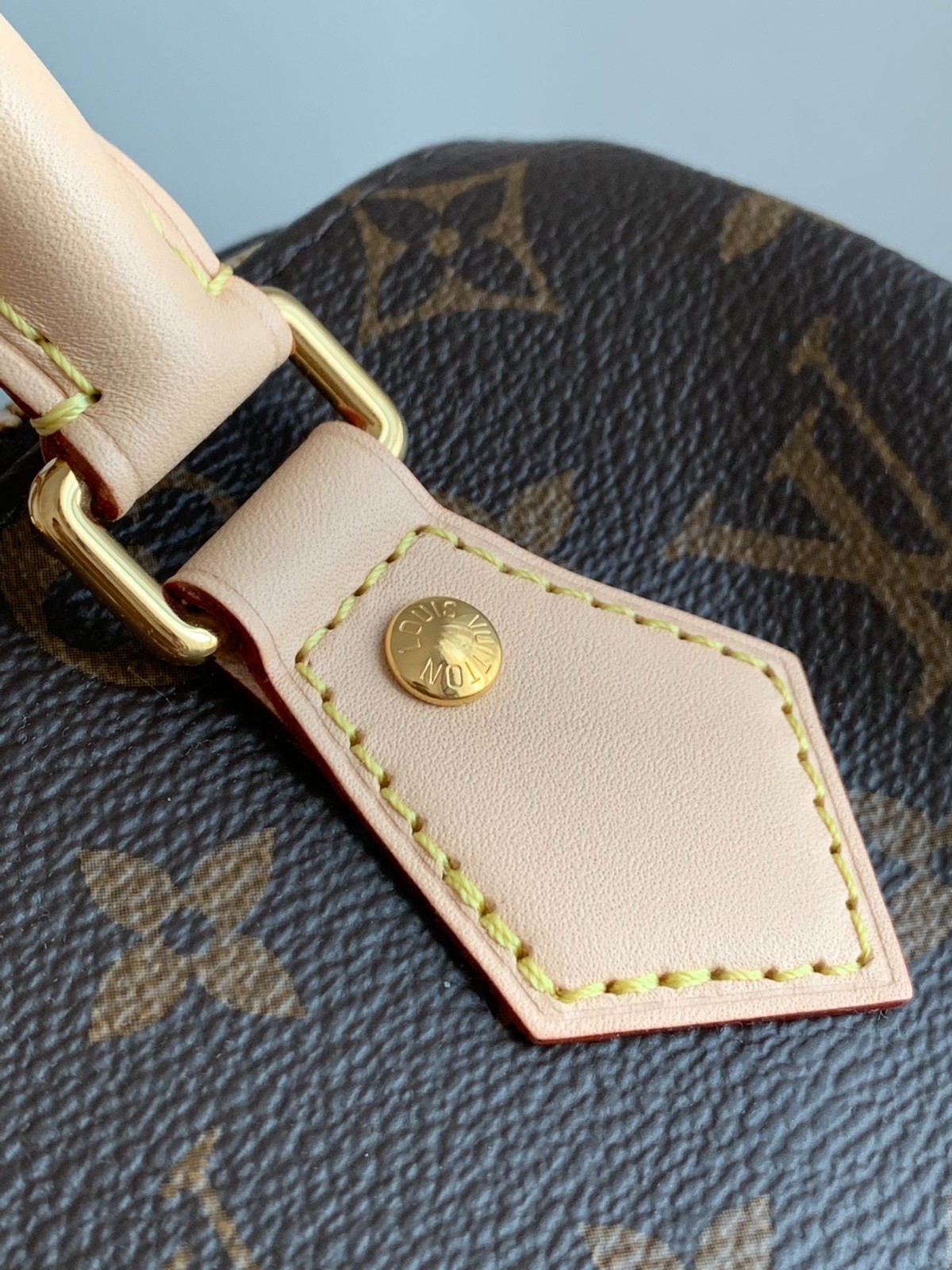 Speedy BandouliEre 20手袋M46234_5