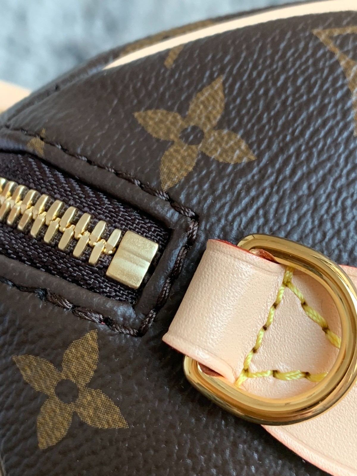 Speedy BandouliEre 20手袋M46234_11