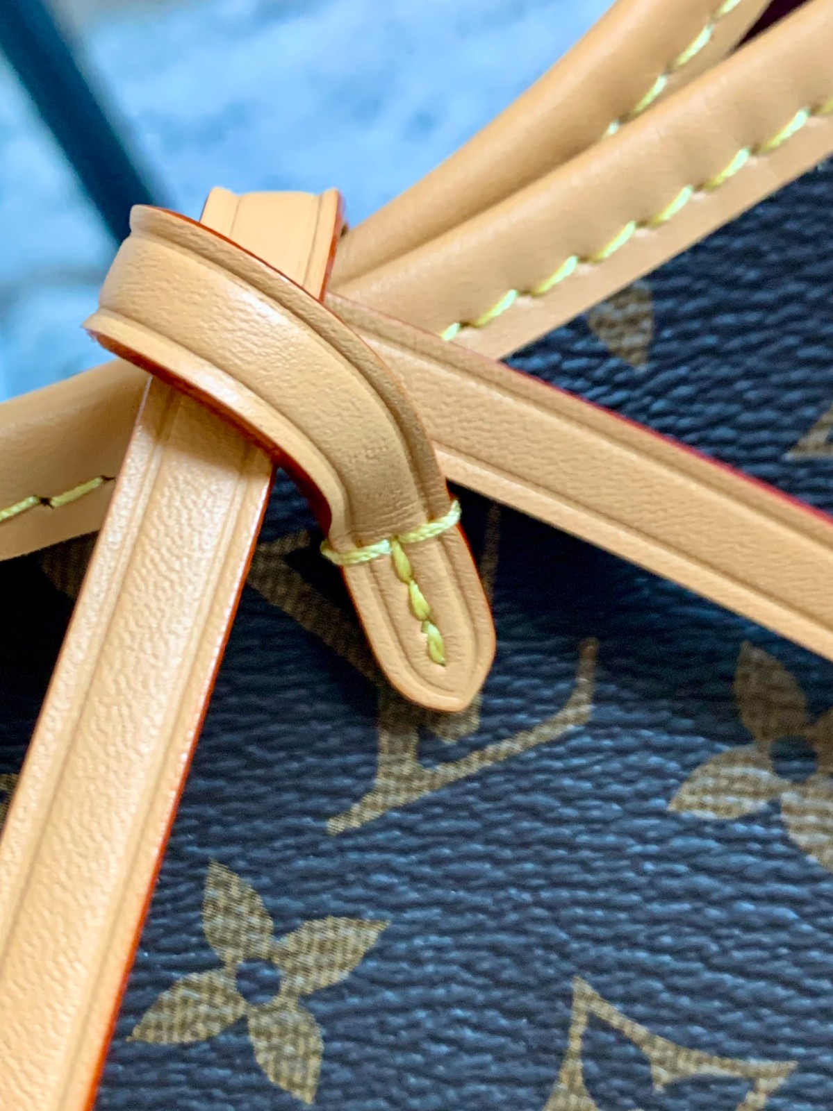 Carryall中號手袋 M46197_6