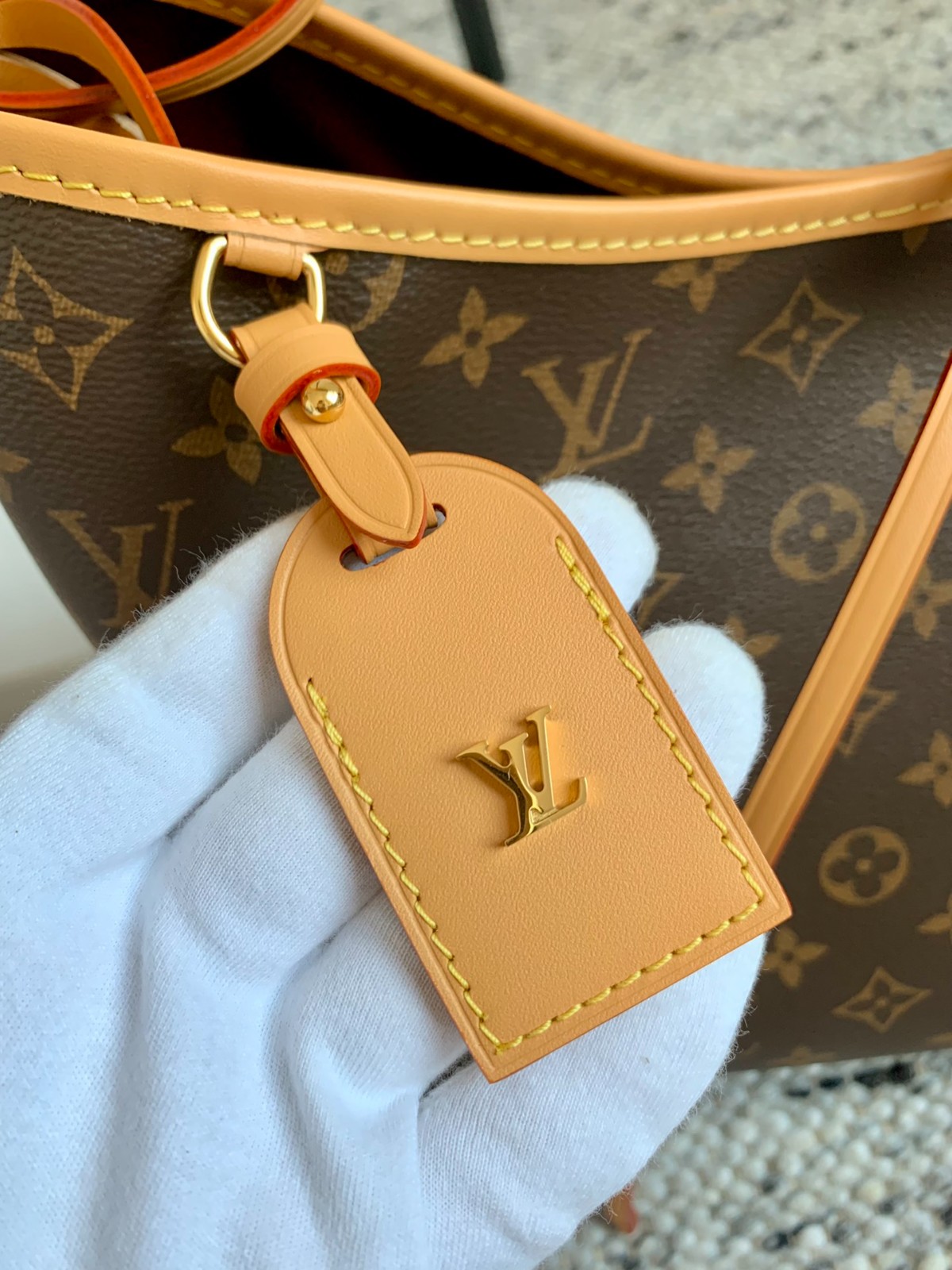 Carryall中號手袋 M46197_7