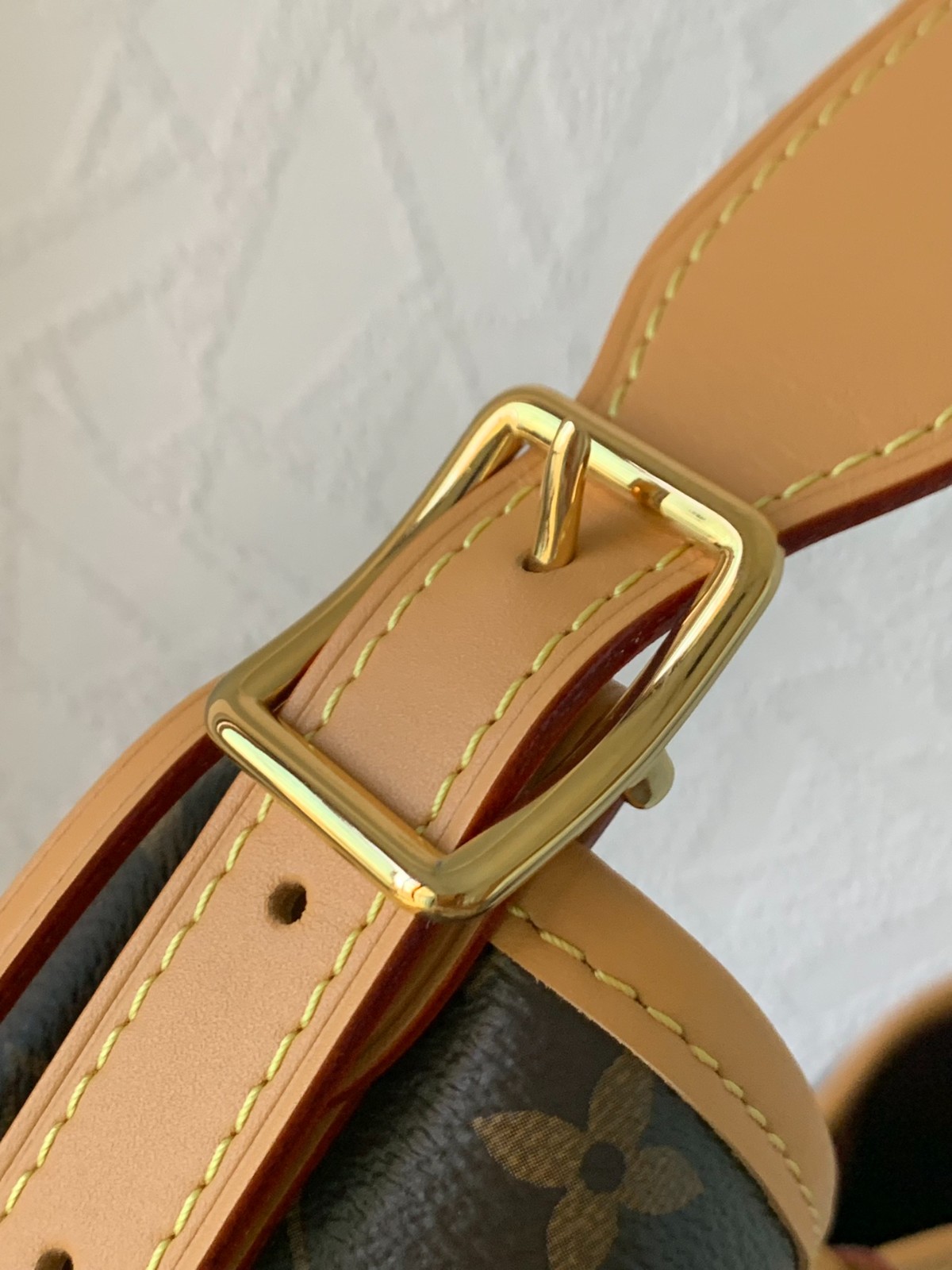 Carryall中號手袋 M46197_9