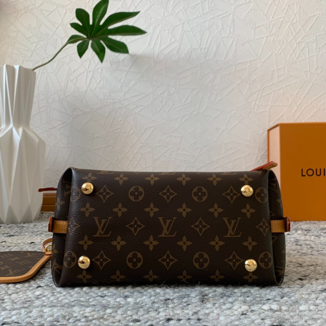 Carryall小號手袋M46203_5