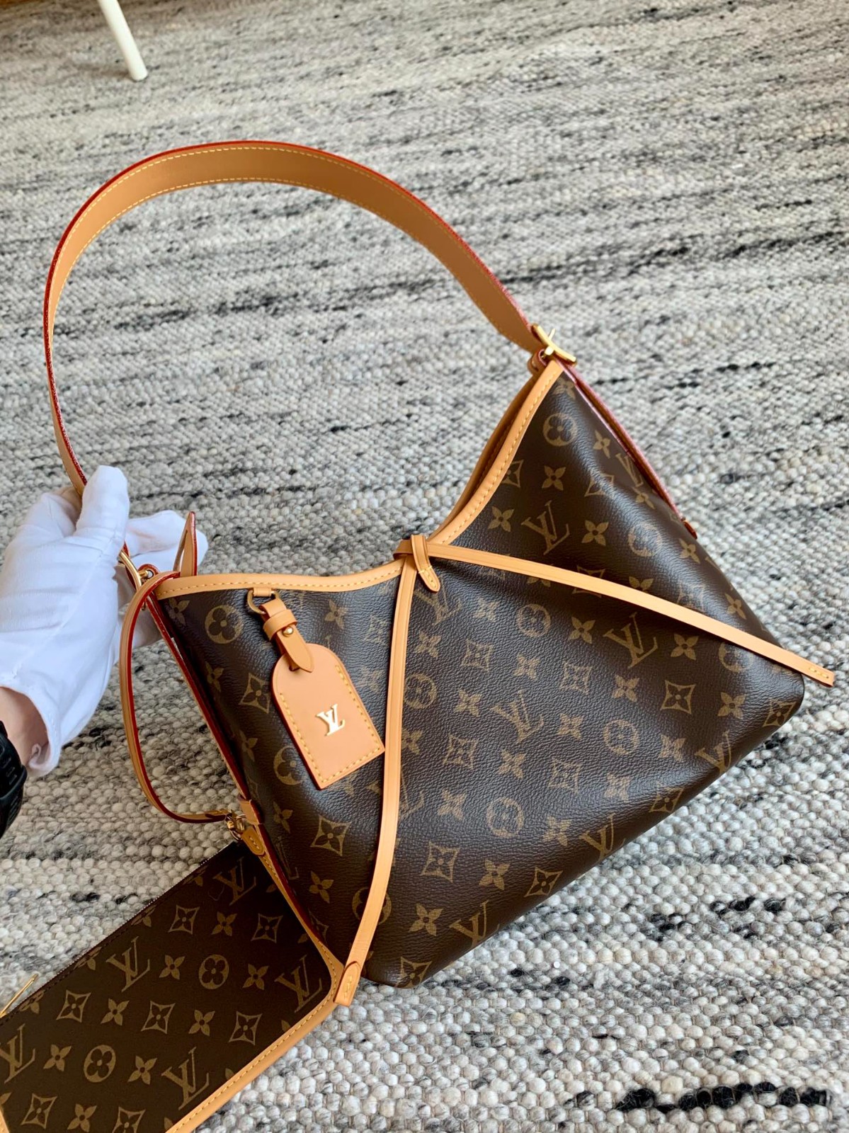 Carryall小號手袋M46203_11